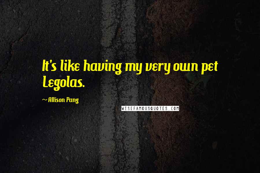 Allison Pang Quotes: It's like having my very own pet Legolas.