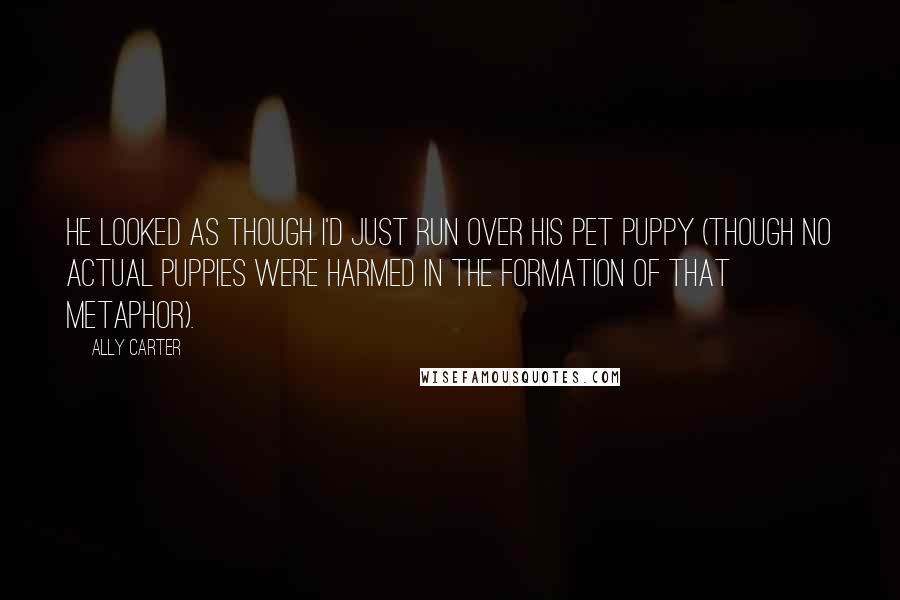 Ally Carter Quotes: He looked as though I'd just run over his pet puppy (though no actual puppies were harmed in the formation of that metaphor).