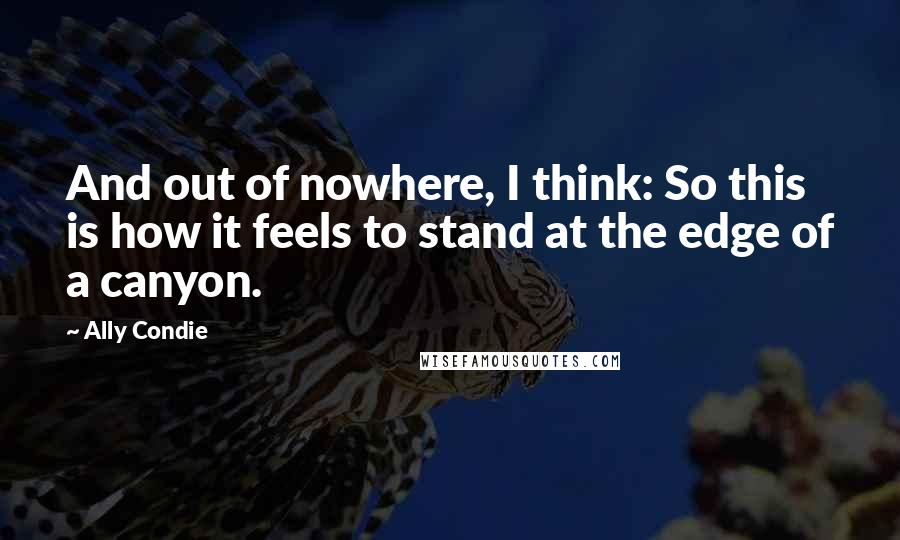 Ally Condie Quotes: And out of nowhere, I think: So this is how it feels to stand at the edge of a canyon.