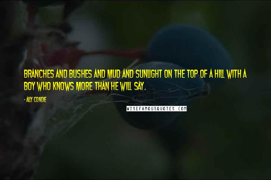 Ally Condie Quotes: Branches and bushes and mud and sunlight on the top of a hill with a boy who knows more than he will say.