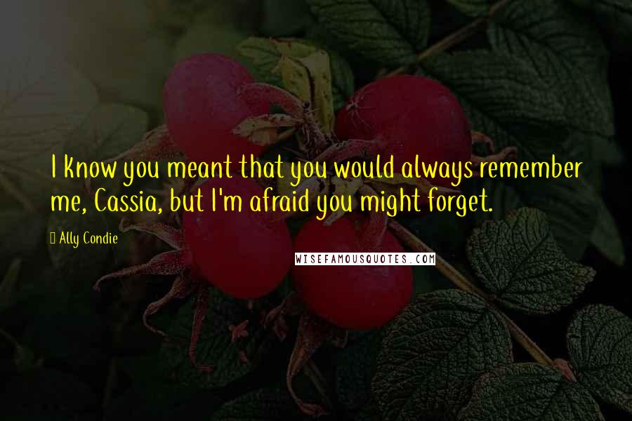 Ally Condie Quotes: I know you meant that you would always remember me, Cassia, but I'm afraid you might forget.