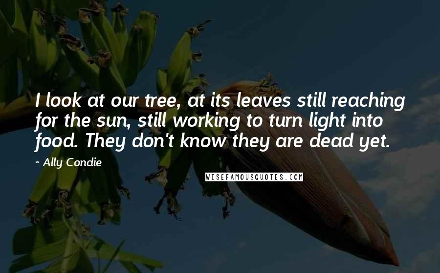 Ally Condie Quotes: I look at our tree, at its leaves still reaching for the sun, still working to turn light into food. They don't know they are dead yet.