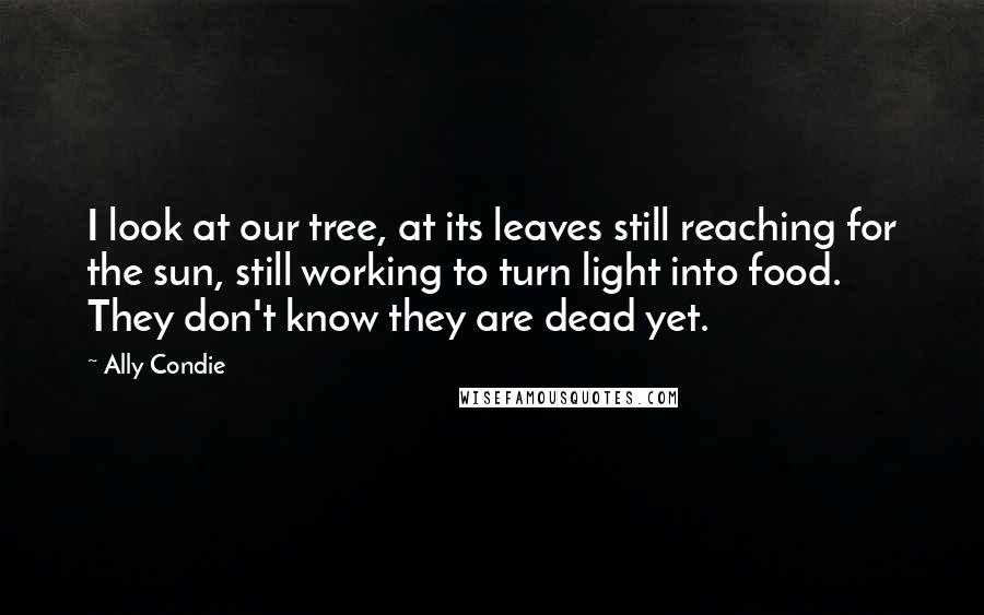 Ally Condie Quotes: I look at our tree, at its leaves still reaching for the sun, still working to turn light into food. They don't know they are dead yet.