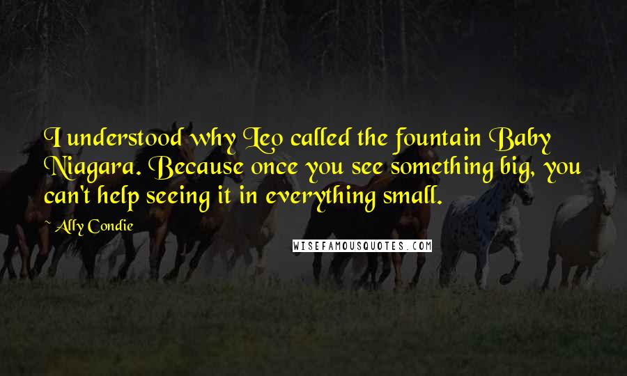 Ally Condie Quotes: I understood why Leo called the fountain Baby Niagara. Because once you see something big, you can't help seeing it in everything small.