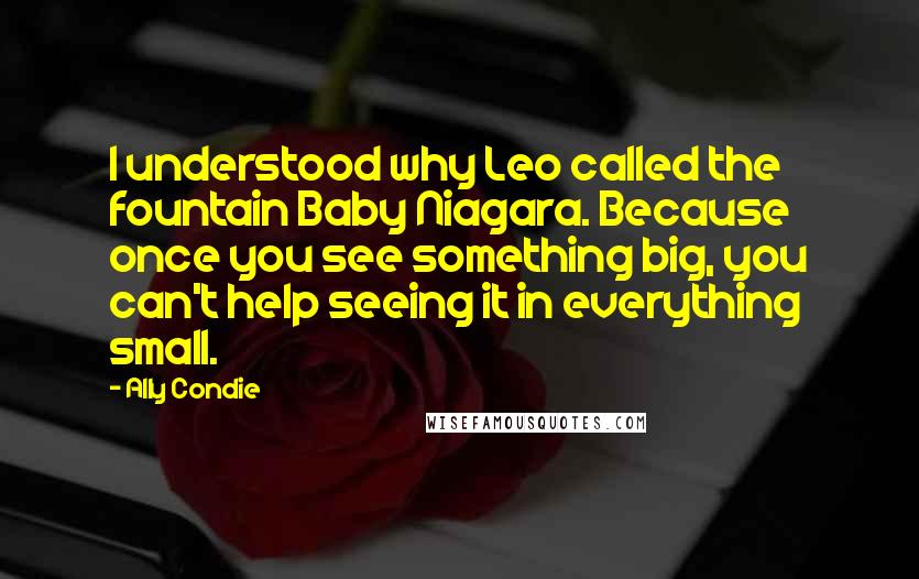 Ally Condie Quotes: I understood why Leo called the fountain Baby Niagara. Because once you see something big, you can't help seeing it in everything small.