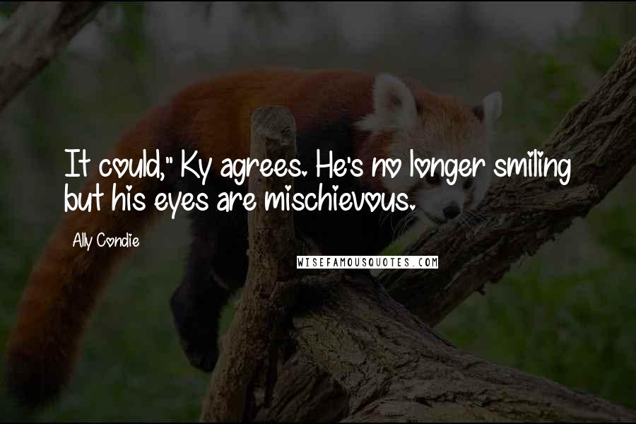 Ally Condie Quotes: It could," Ky agrees. He's no longer smiling but his eyes are mischievous.