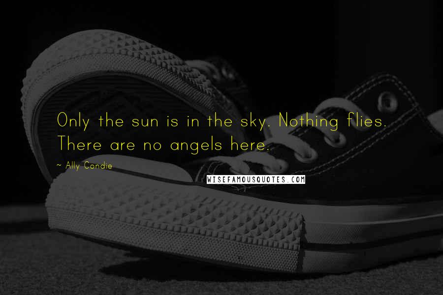 Ally Condie Quotes: Only the sun is in the sky. Nothing flies. There are no angels here.