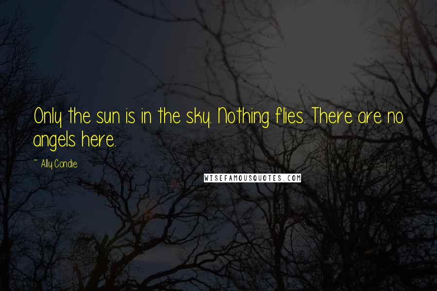 Ally Condie Quotes: Only the sun is in the sky. Nothing flies. There are no angels here.