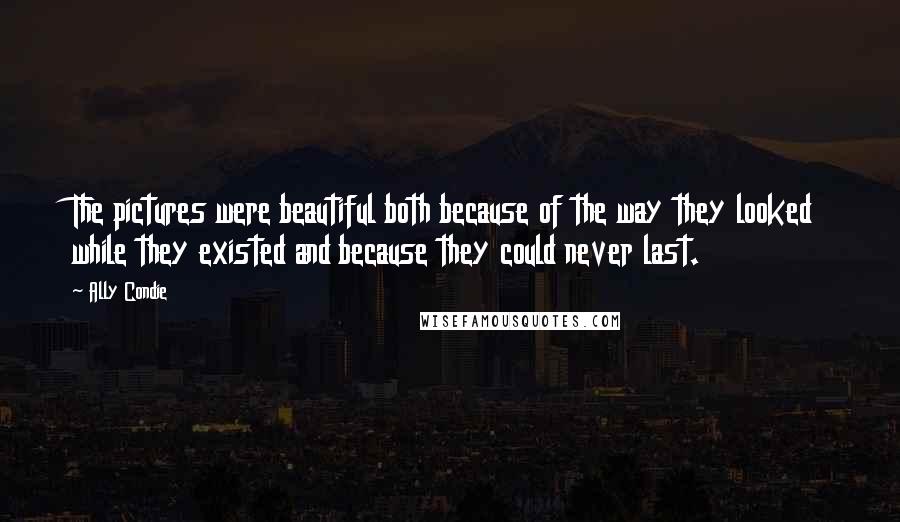 Ally Condie Quotes: The pictures were beautiful both because of the way they looked while they existed and because they could never last.