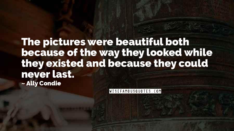 Ally Condie Quotes: The pictures were beautiful both because of the way they looked while they existed and because they could never last.