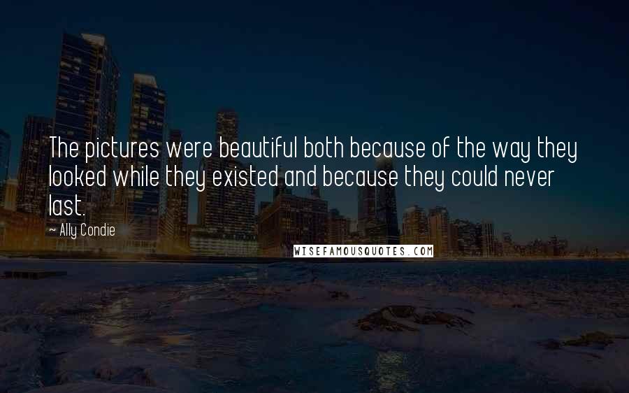 Ally Condie Quotes: The pictures were beautiful both because of the way they looked while they existed and because they could never last.