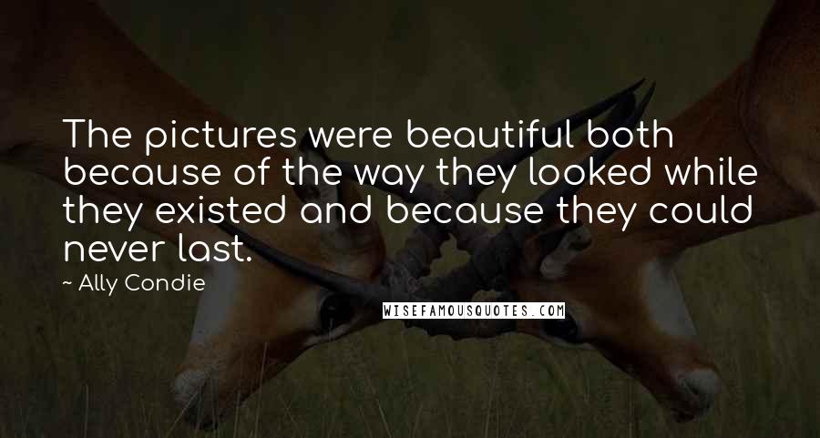 Ally Condie Quotes: The pictures were beautiful both because of the way they looked while they existed and because they could never last.