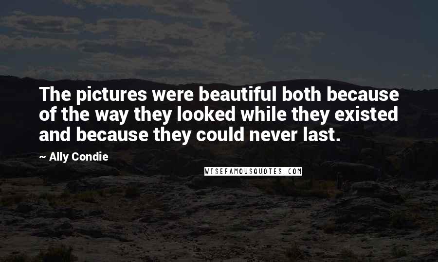 Ally Condie Quotes: The pictures were beautiful both because of the way they looked while they existed and because they could never last.
