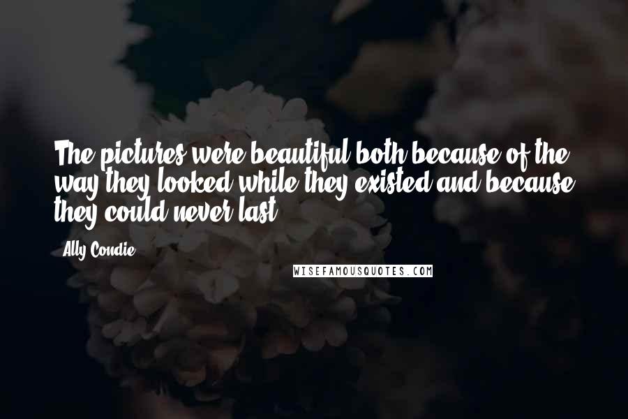Ally Condie Quotes: The pictures were beautiful both because of the way they looked while they existed and because they could never last.
