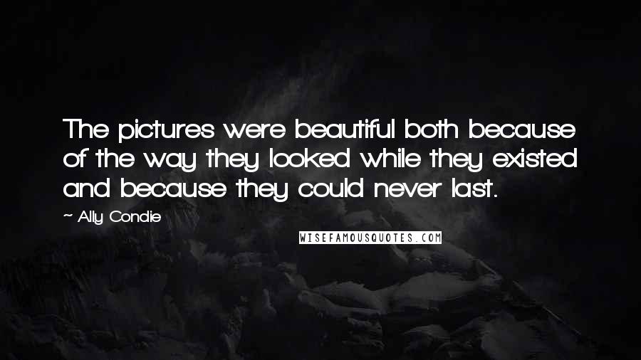 Ally Condie Quotes: The pictures were beautiful both because of the way they looked while they existed and because they could never last.