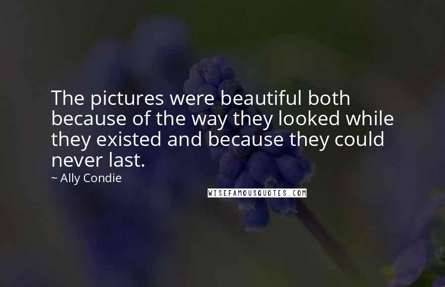 Ally Condie Quotes: The pictures were beautiful both because of the way they looked while they existed and because they could never last.