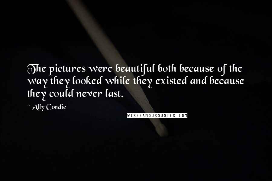 Ally Condie Quotes: The pictures were beautiful both because of the way they looked while they existed and because they could never last.