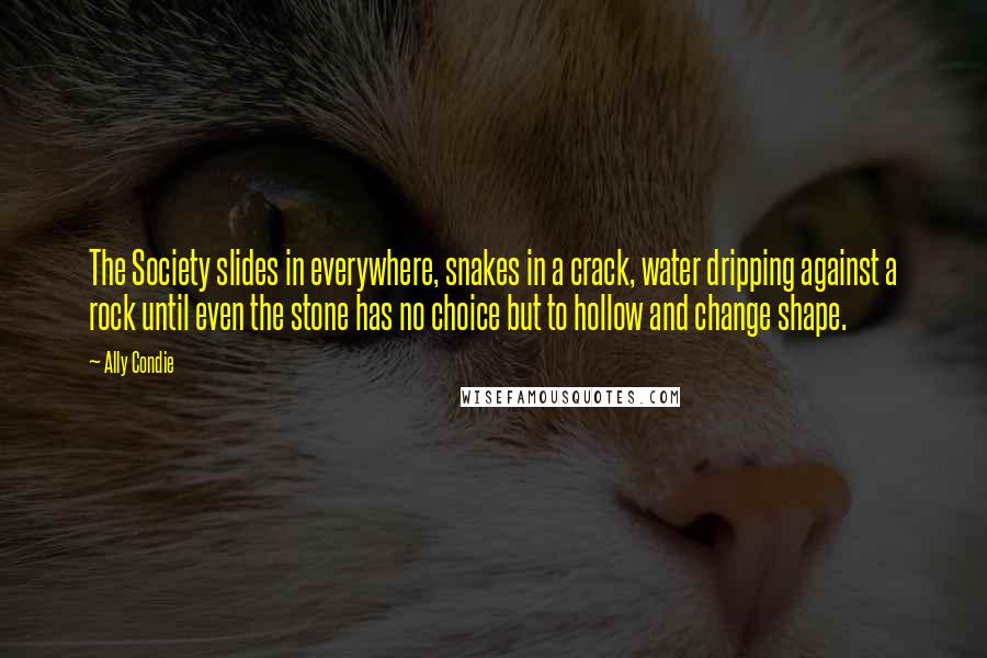 Ally Condie Quotes: The Society slides in everywhere, snakes in a crack, water dripping against a rock until even the stone has no choice but to hollow and change shape.