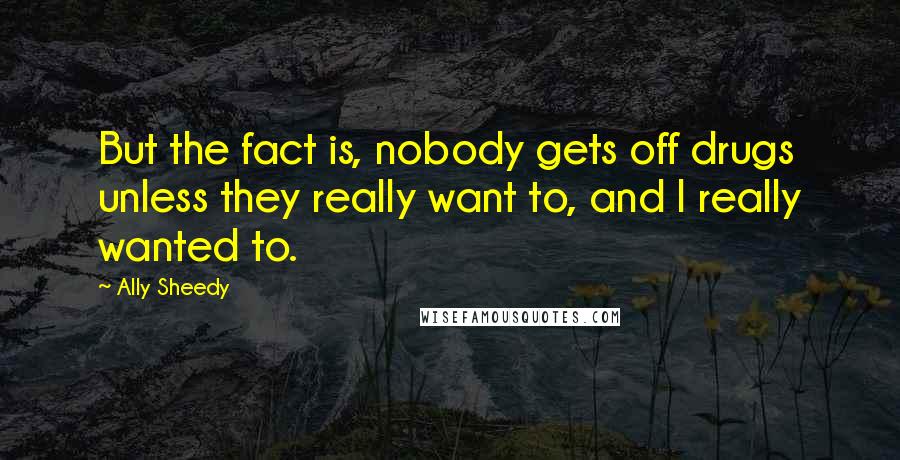 Ally Sheedy Quotes: But the fact is, nobody gets off drugs unless they really want to, and I really wanted to.