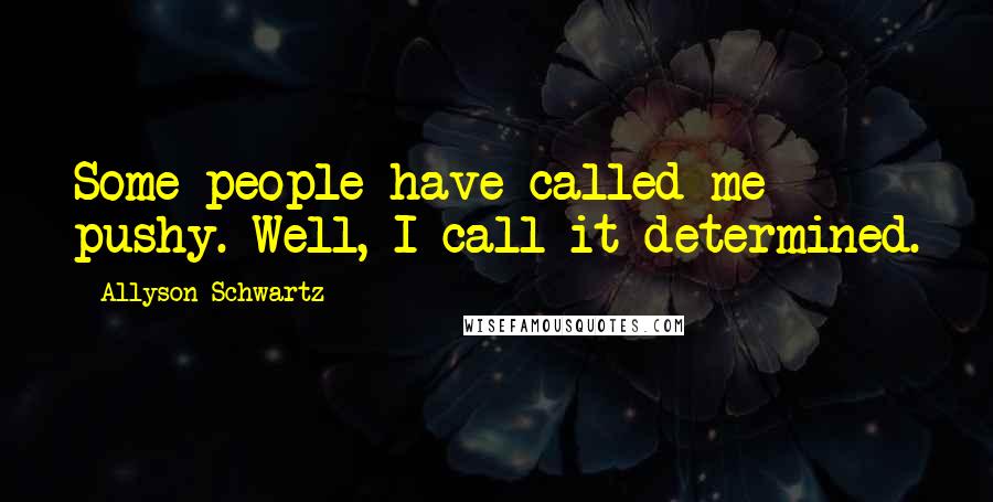 Allyson Schwartz Quotes: Some people have called me pushy. Well, I call it determined.