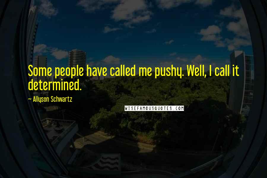 Allyson Schwartz Quotes: Some people have called me pushy. Well, I call it determined.
