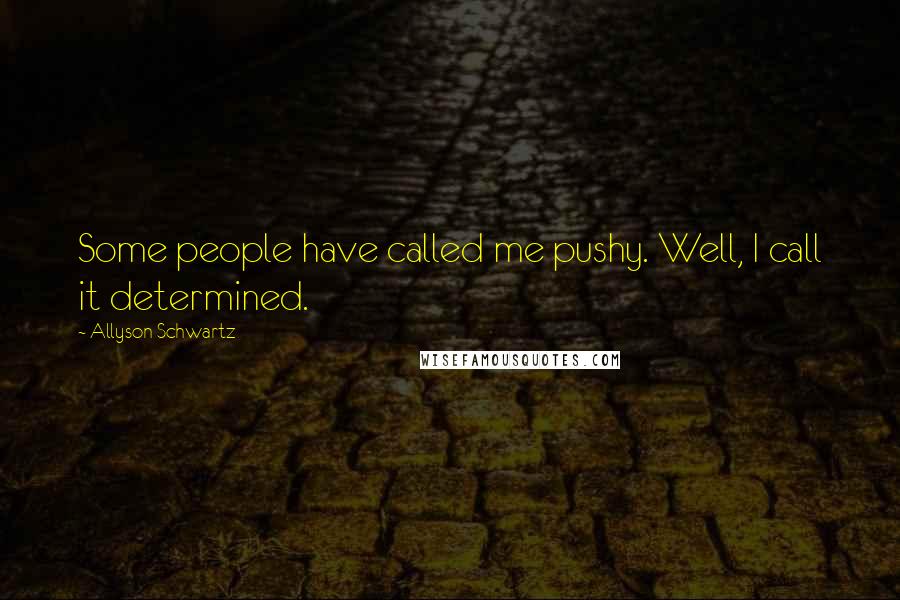 Allyson Schwartz Quotes: Some people have called me pushy. Well, I call it determined.
