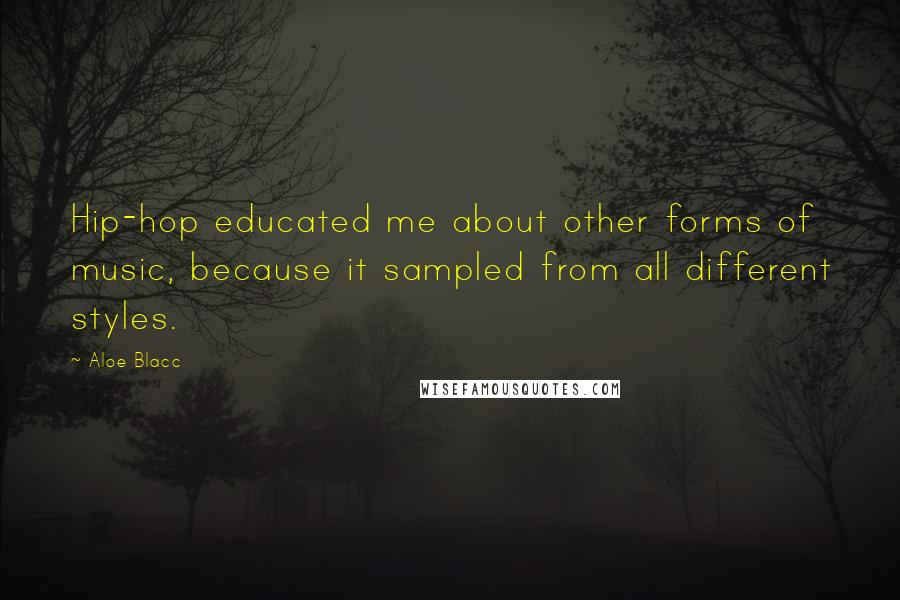 Aloe Blacc Quotes: Hip-hop educated me about other forms of music, because it sampled from all different styles.