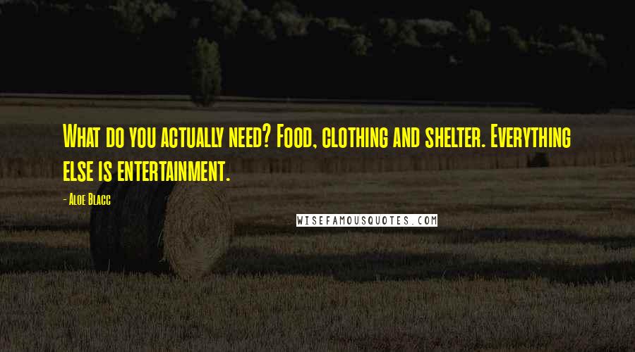 Aloe Blacc Quotes: What do you actually need? Food, clothing and shelter. Everything else is entertainment.