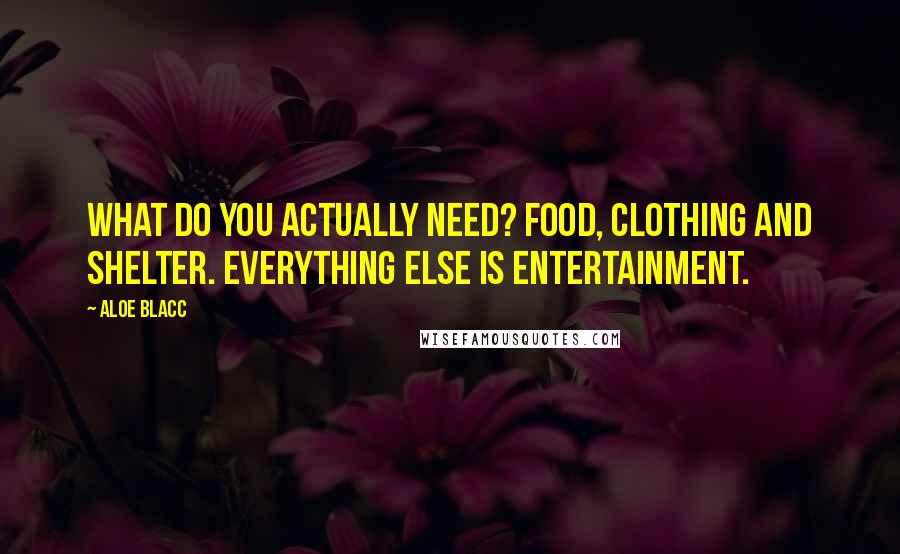 Aloe Blacc Quotes: What do you actually need? Food, clothing and shelter. Everything else is entertainment.