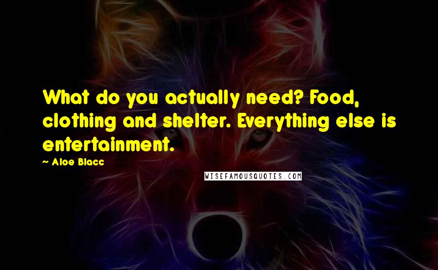 Aloe Blacc Quotes: What do you actually need? Food, clothing and shelter. Everything else is entertainment.