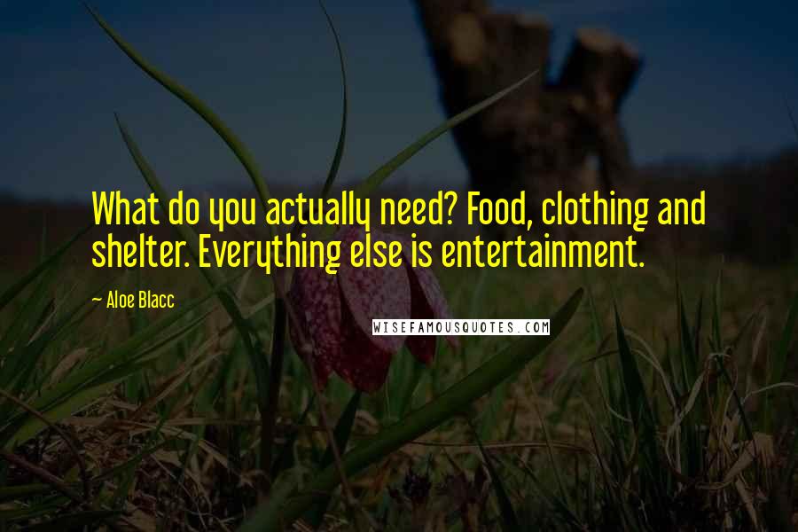 Aloe Blacc Quotes: What do you actually need? Food, clothing and shelter. Everything else is entertainment.