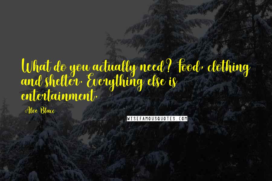 Aloe Blacc Quotes: What do you actually need? Food, clothing and shelter. Everything else is entertainment.