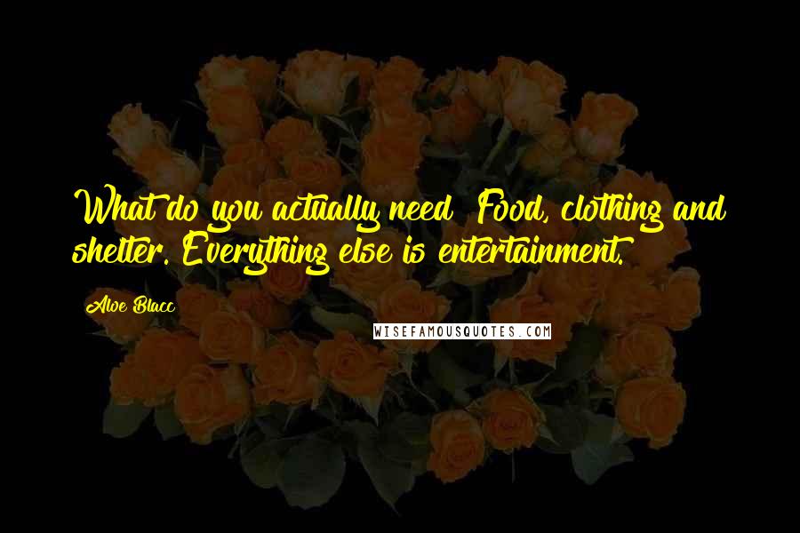 Aloe Blacc Quotes: What do you actually need? Food, clothing and shelter. Everything else is entertainment.