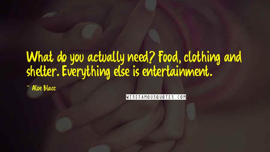 Aloe Blacc Quotes: What do you actually need? Food, clothing and shelter. Everything else is entertainment.