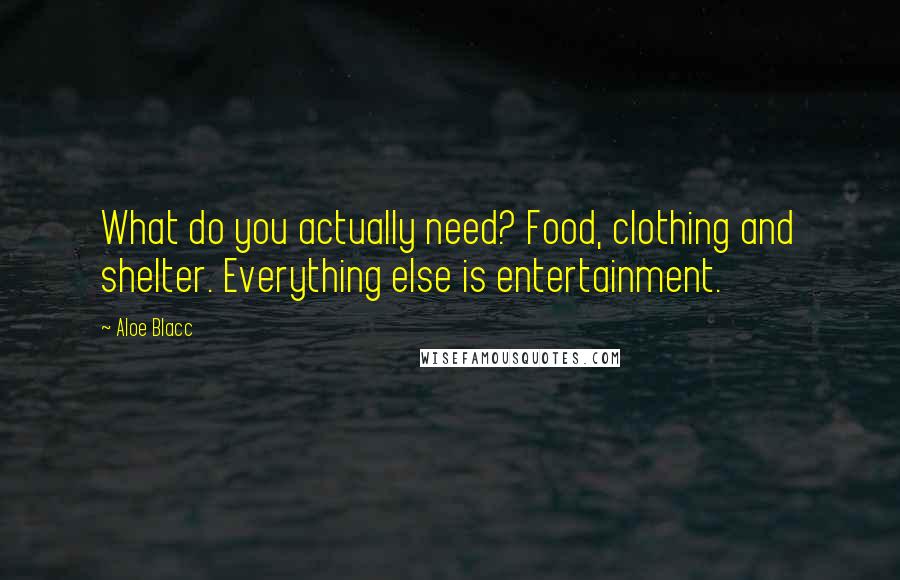 Aloe Blacc Quotes: What do you actually need? Food, clothing and shelter. Everything else is entertainment.