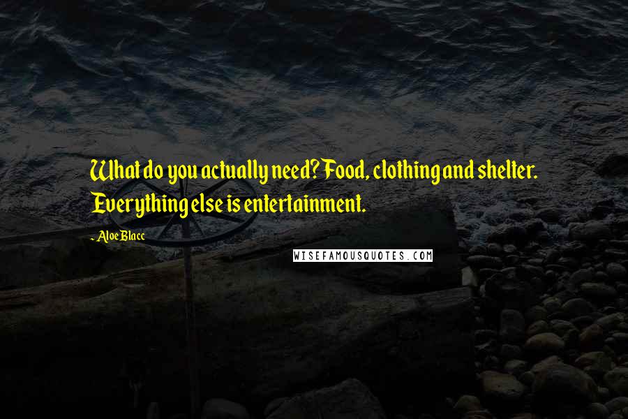 Aloe Blacc Quotes: What do you actually need? Food, clothing and shelter. Everything else is entertainment.