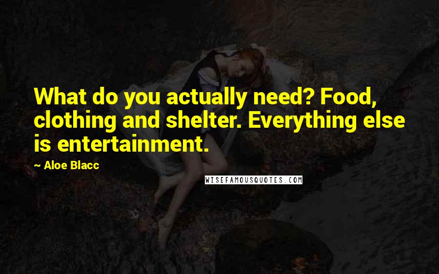 Aloe Blacc Quotes: What do you actually need? Food, clothing and shelter. Everything else is entertainment.
