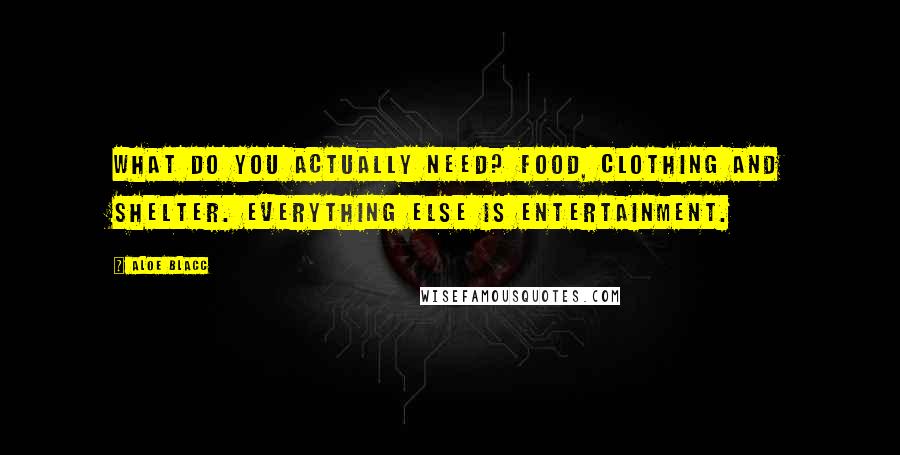 Aloe Blacc Quotes: What do you actually need? Food, clothing and shelter. Everything else is entertainment.