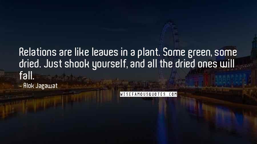 Alok Jagawat Quotes: Relations are like leaves in a plant. Some green, some dried. Just shook yourself, and all the dried ones will fall.