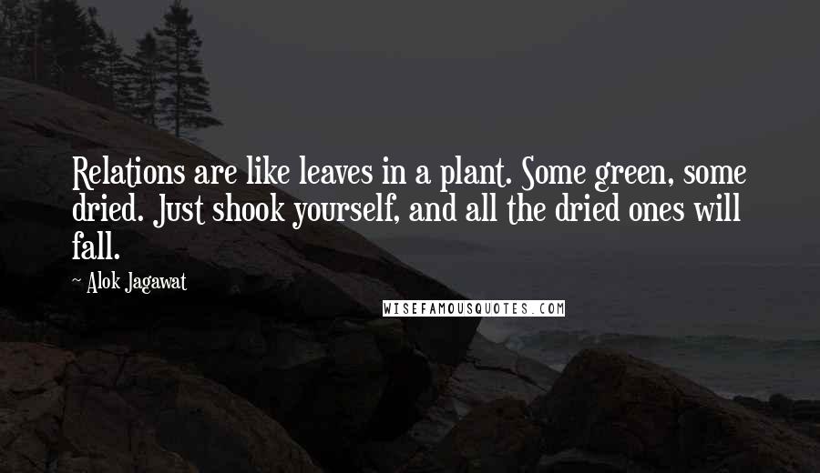 Alok Jagawat Quotes: Relations are like leaves in a plant. Some green, some dried. Just shook yourself, and all the dried ones will fall.