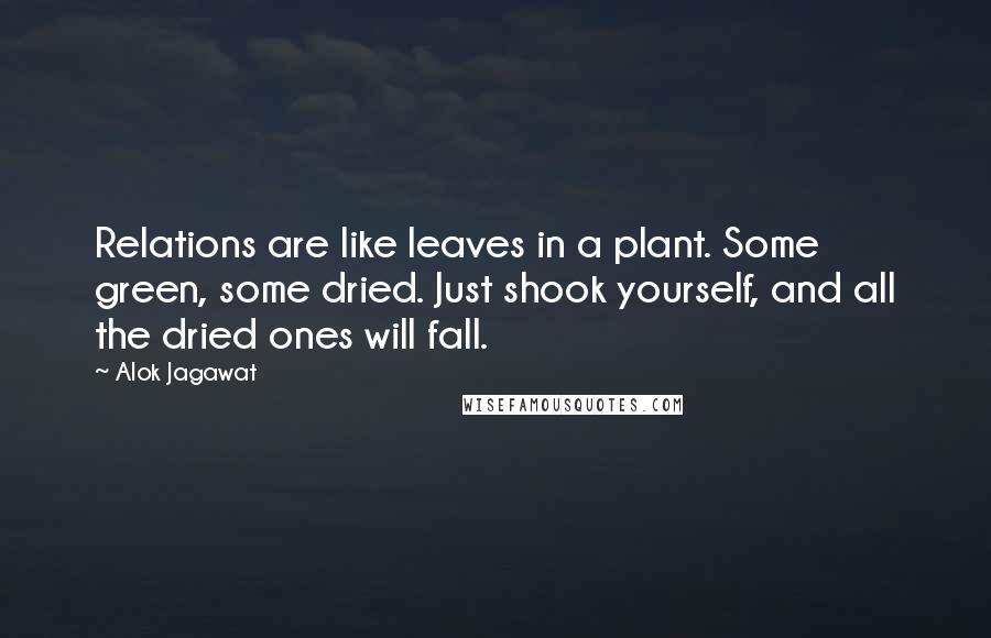 Alok Jagawat Quotes: Relations are like leaves in a plant. Some green, some dried. Just shook yourself, and all the dried ones will fall.