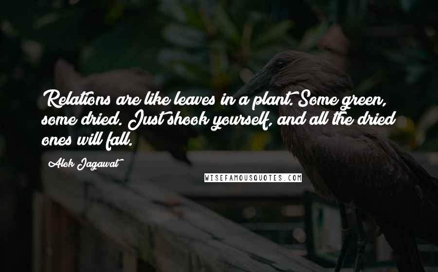 Alok Jagawat Quotes: Relations are like leaves in a plant. Some green, some dried. Just shook yourself, and all the dried ones will fall.