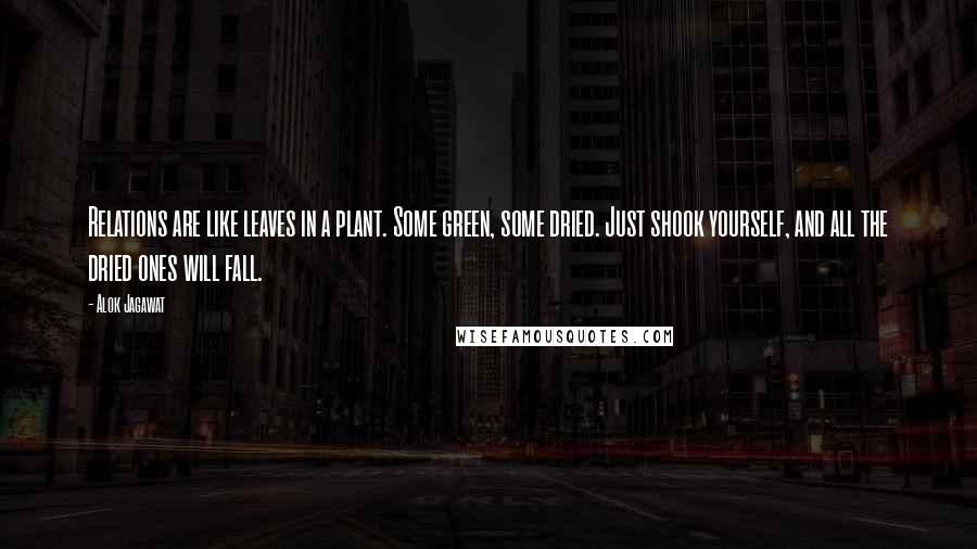 Alok Jagawat Quotes: Relations are like leaves in a plant. Some green, some dried. Just shook yourself, and all the dried ones will fall.