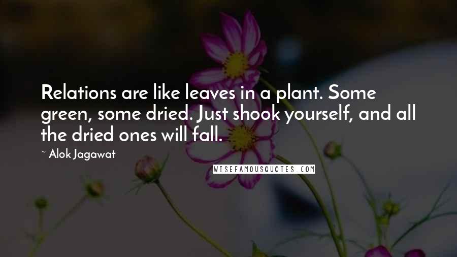 Alok Jagawat Quotes: Relations are like leaves in a plant. Some green, some dried. Just shook yourself, and all the dried ones will fall.