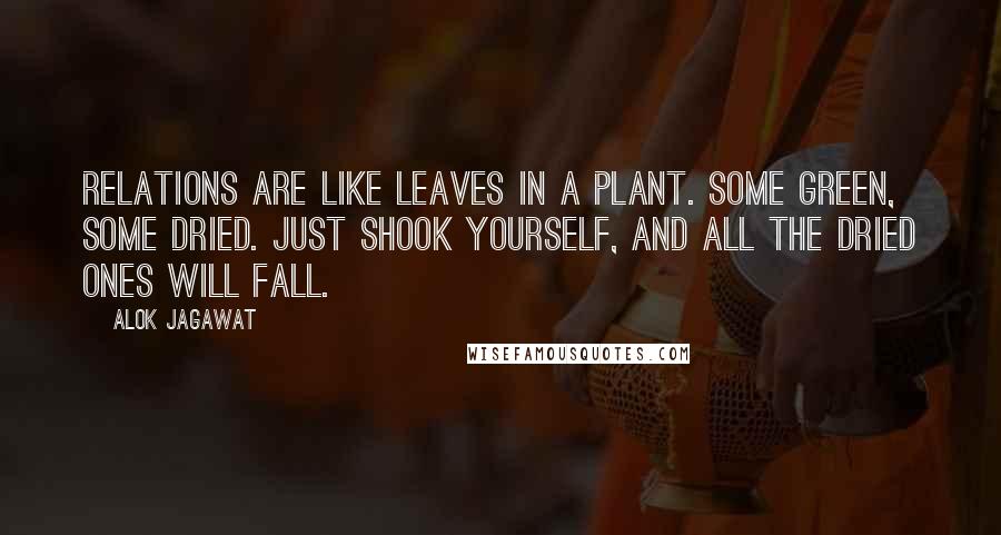 Alok Jagawat Quotes: Relations are like leaves in a plant. Some green, some dried. Just shook yourself, and all the dried ones will fall.