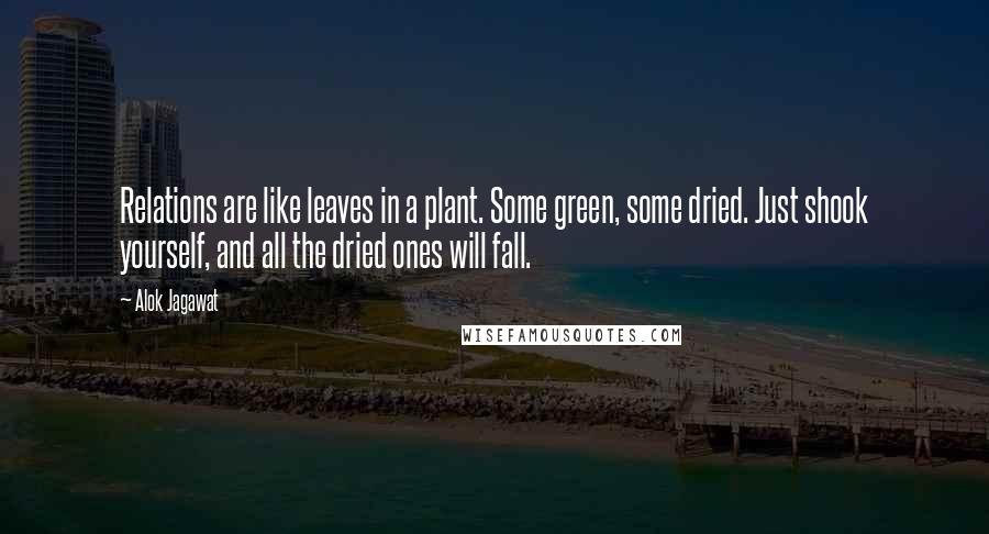 Alok Jagawat Quotes: Relations are like leaves in a plant. Some green, some dried. Just shook yourself, and all the dried ones will fall.