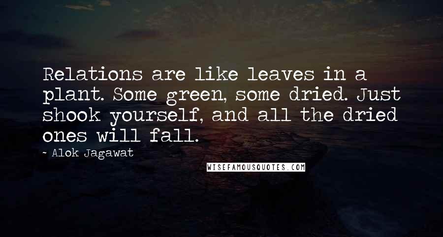 Alok Jagawat Quotes: Relations are like leaves in a plant. Some green, some dried. Just shook yourself, and all the dried ones will fall.