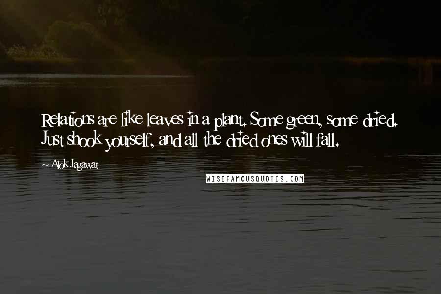 Alok Jagawat Quotes: Relations are like leaves in a plant. Some green, some dried. Just shook yourself, and all the dried ones will fall.