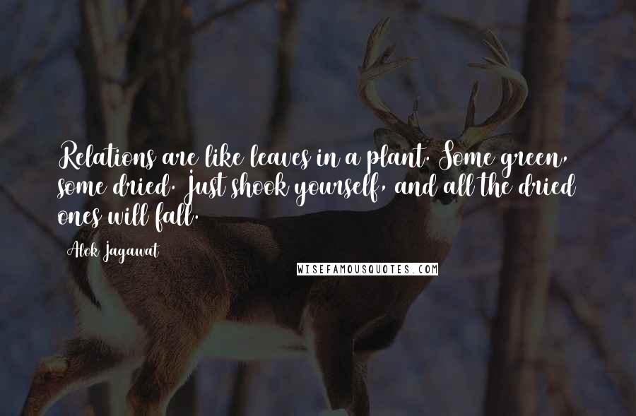 Alok Jagawat Quotes: Relations are like leaves in a plant. Some green, some dried. Just shook yourself, and all the dried ones will fall.