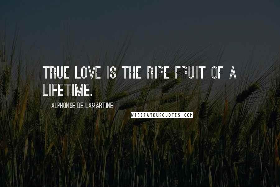 Alphonse De Lamartine Quotes: True love is the ripe fruit of a lifetime.